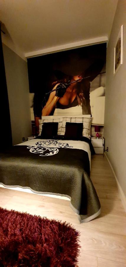 Apartamenty Sofija Deluxe Centrum Zielona Gora  Bagian luar foto