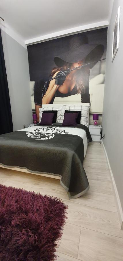 Apartamenty Sofija Deluxe Centrum Zielona Gora  Bagian luar foto